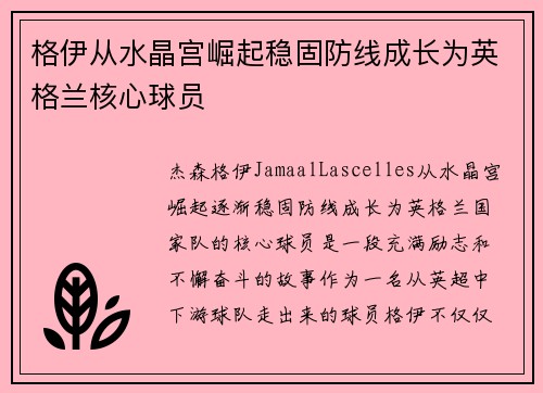 格伊从水晶宫崛起稳固防线成长为英格兰核心球员